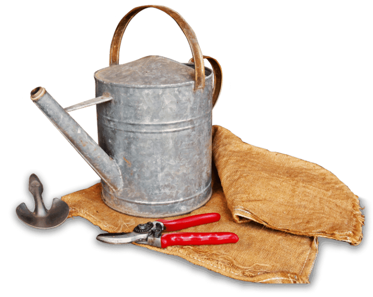 Watering CAn and tools